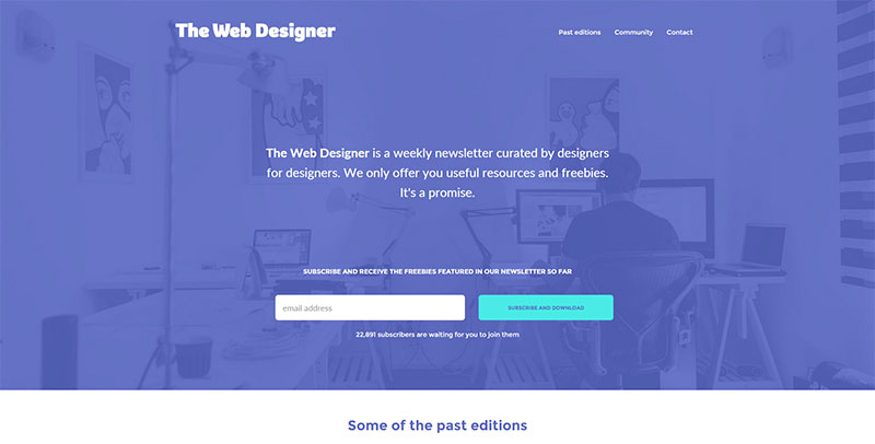 the-webdesigner.co_