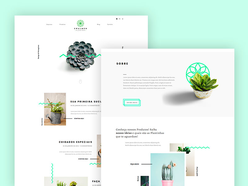 Minimalist web design - Swalmen-Planten-Succulent-Website