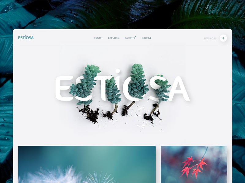 web design fonts - Estiosa
