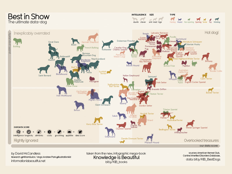 dog show data visualization