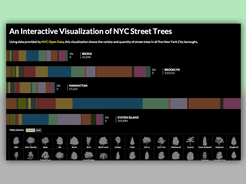 interactive visualization of NYC trees
