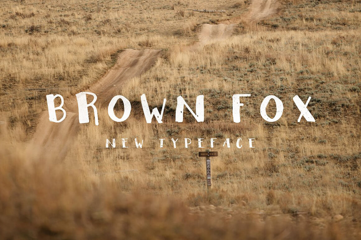 Brown Fox Modern Fonts