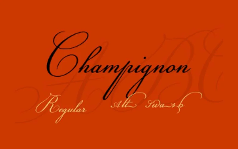 champignon- best calligraphy fonts