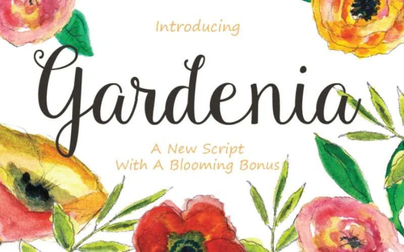 gardenia- best calligraphy fonts