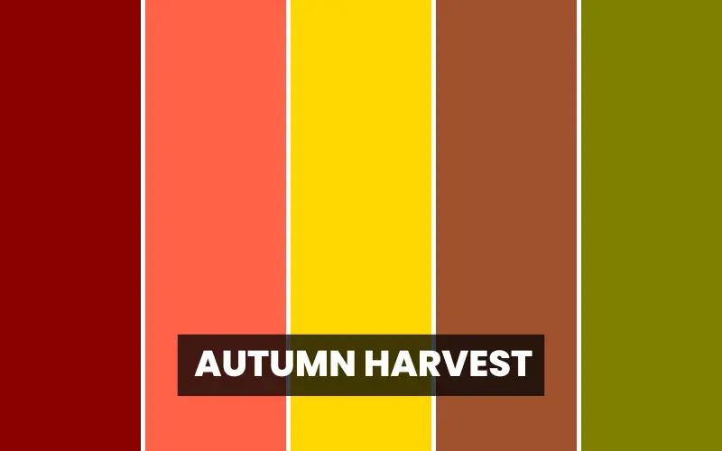 autumn harvest for fall designs