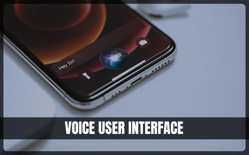 Voice User Interface