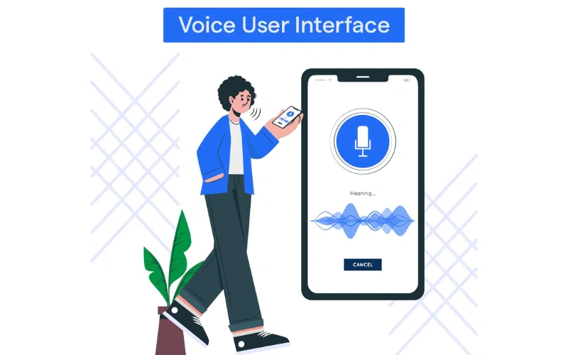 Voice User Interface