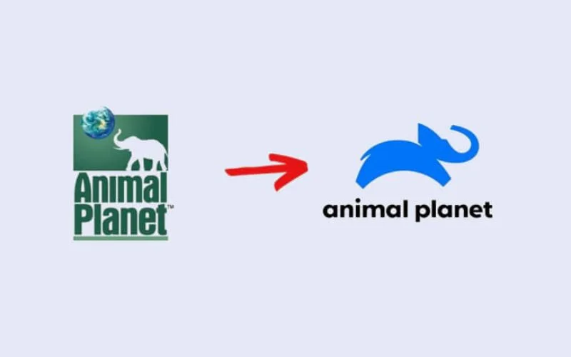 updated logo of animal planet